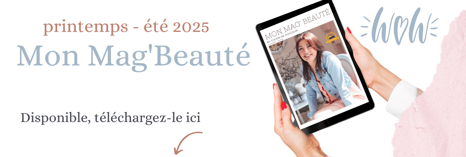 Entête Newsletter (44)