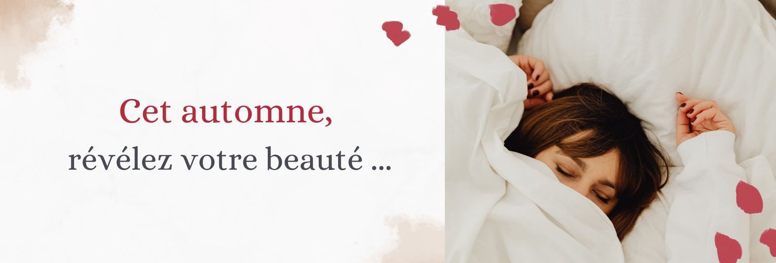 Entête Newsletter (7)